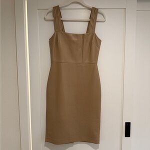 Aritzia Tan Strapless Dress